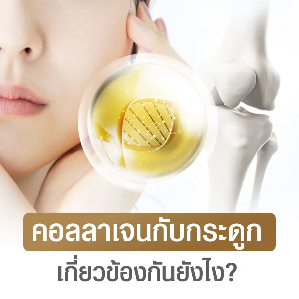 คอลลาเจนกับกระดูก