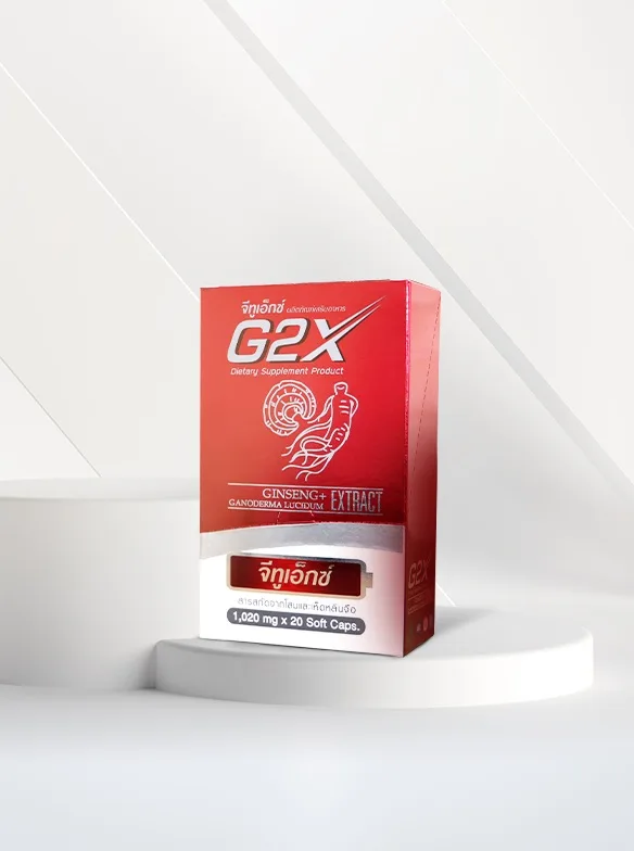 Catagorie banner สินค้า G2X